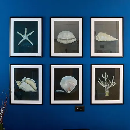 Apartamento M47 Infinity Mamaia